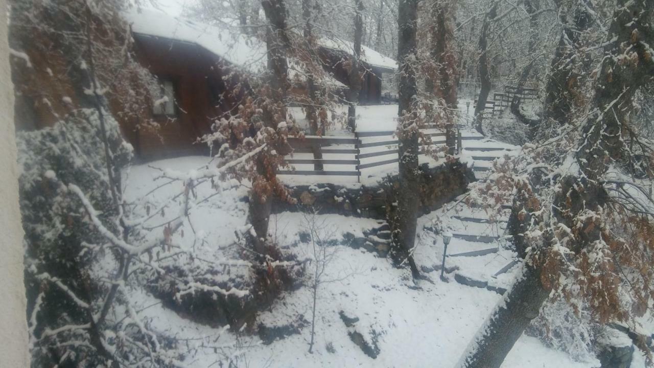 La Albarina Guest House Galende Екстериор снимка